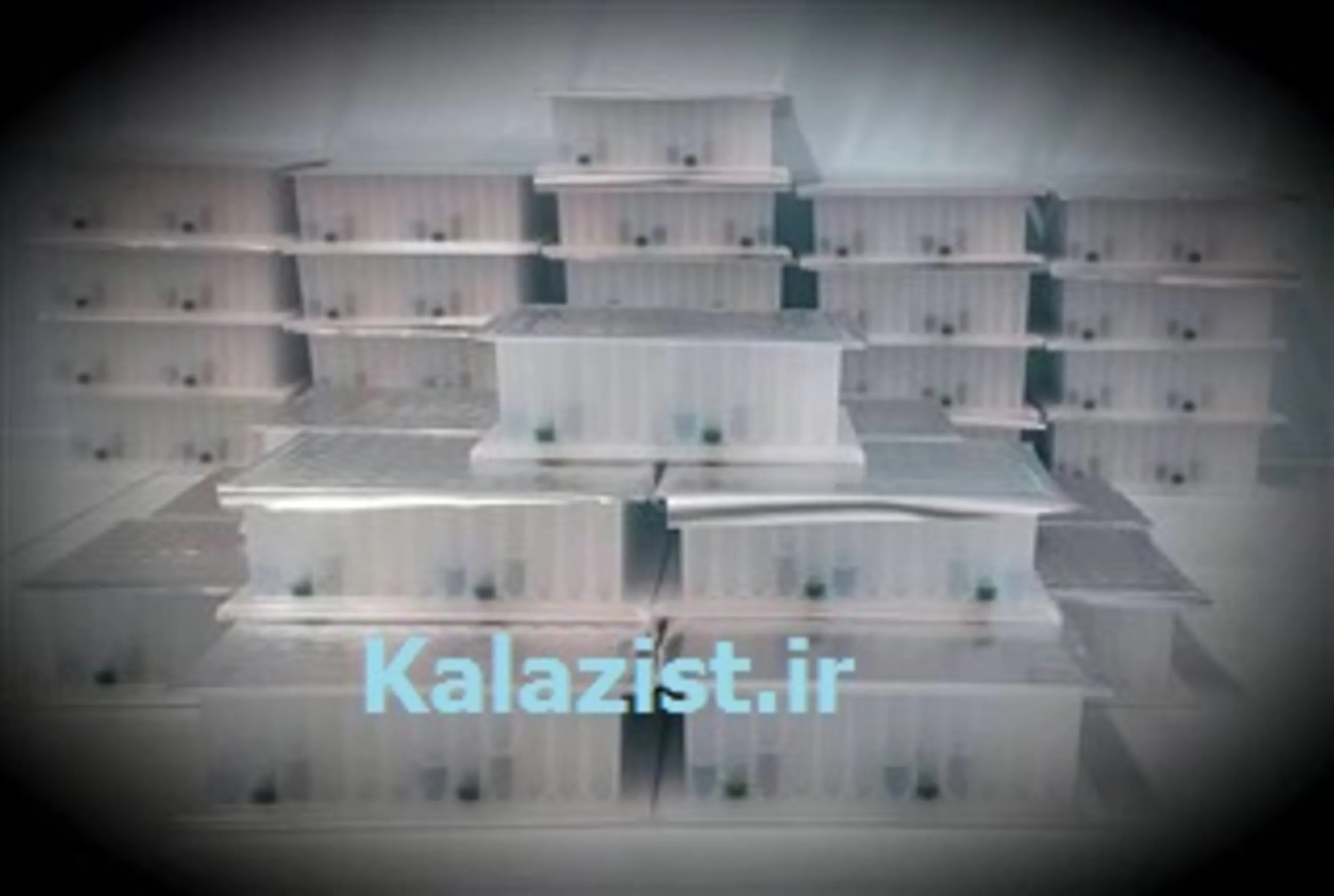 Magnetic Based HPV DNA extraction Kit, Plate format Magnetic Based HPV DNA extraction Kit, Plate format